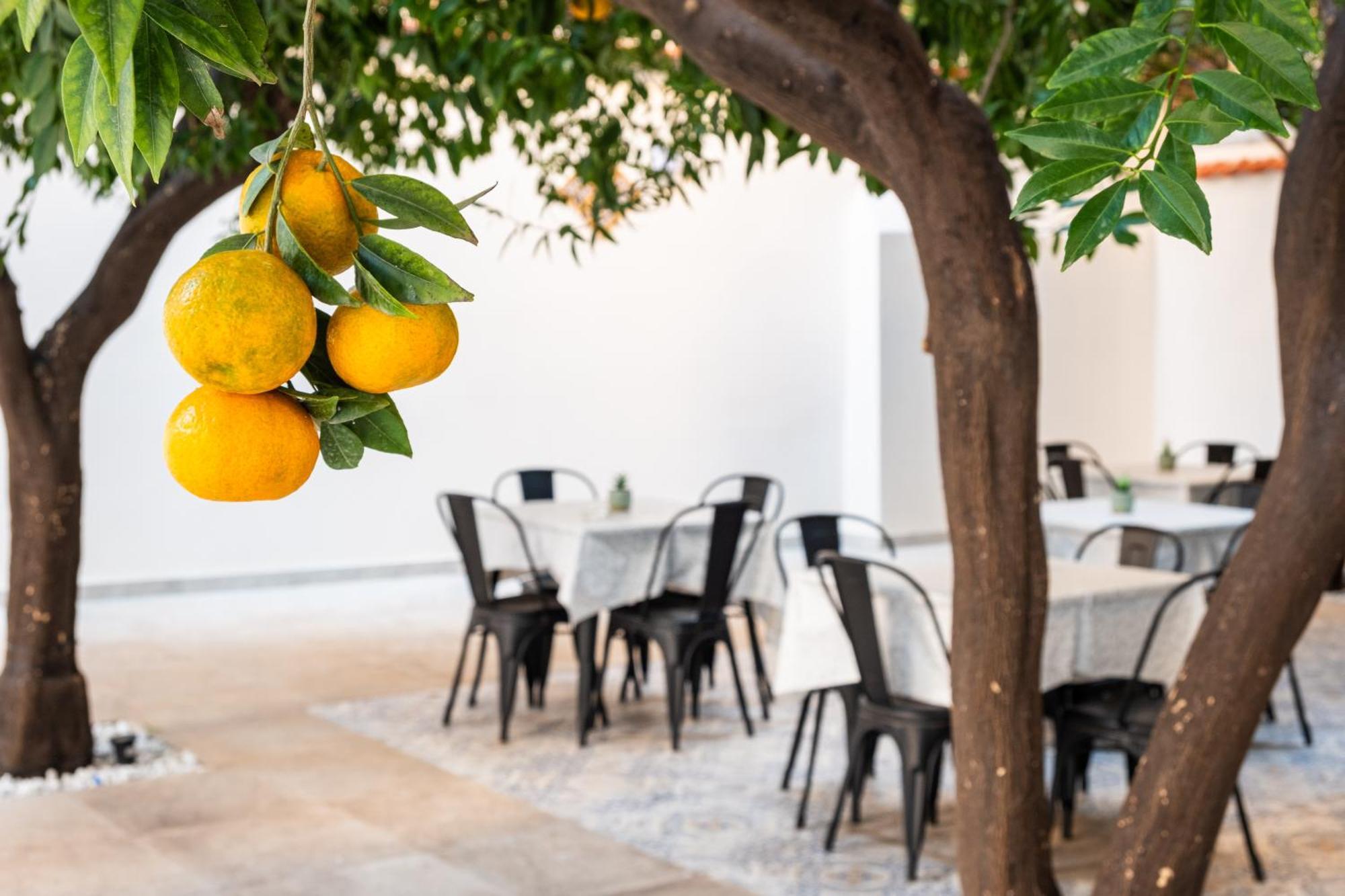 Couette-café Garden House: And For Holidays 2*